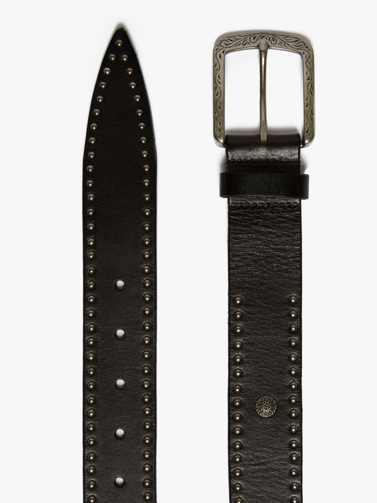 Studded leather belt - DARK BROWN - Weekend Max Mara - 2