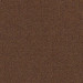 COCOA