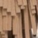 TORTORA